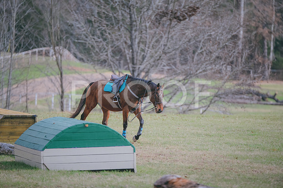 JJS_0851