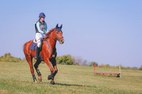 861A1377