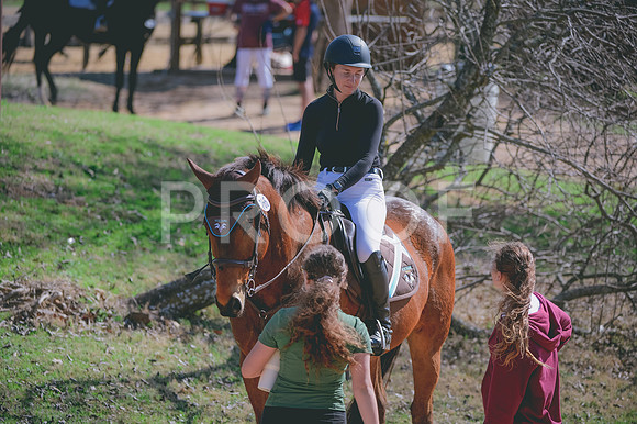 JJS_4143