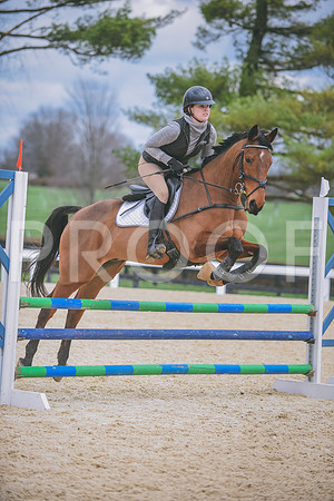 DSC_0179 copy