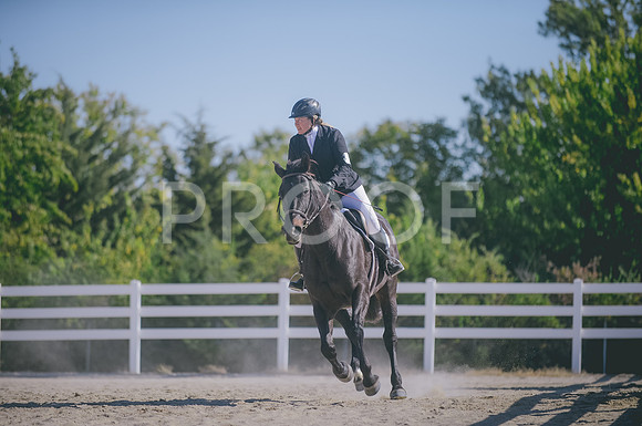 JJS_0872