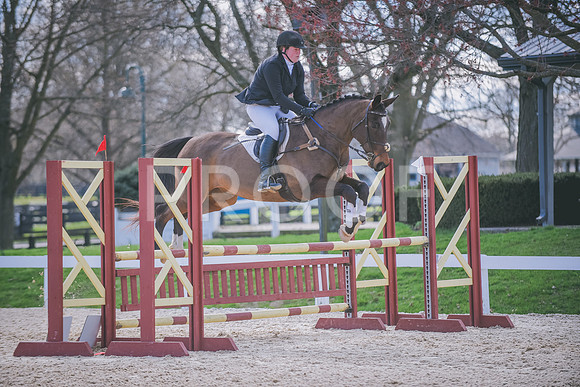DSC_1292 copy