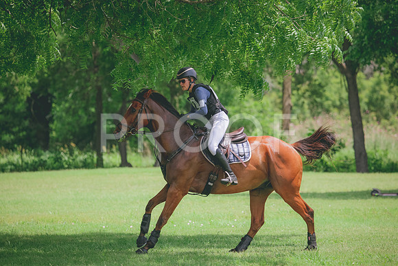 RWP_2589