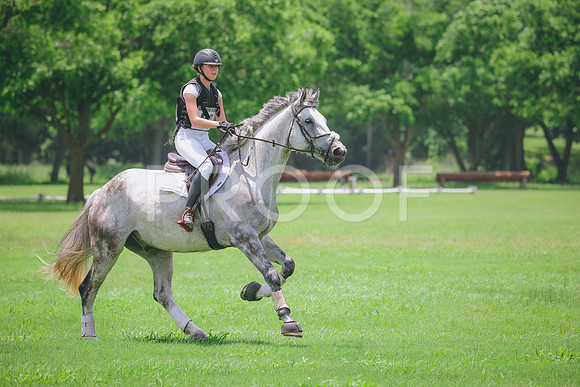 RWP_3394