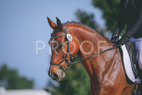 RWP_3927