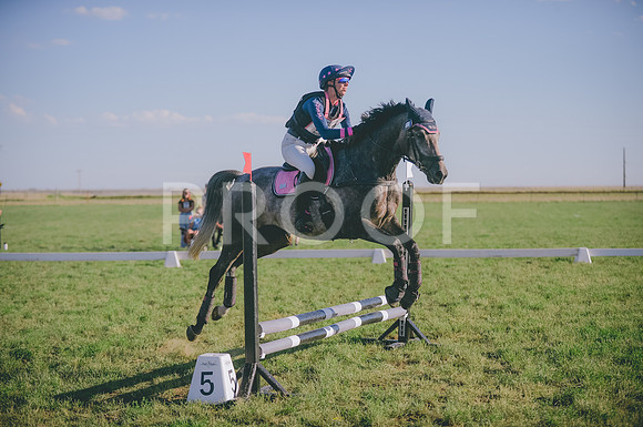 JJS_1733