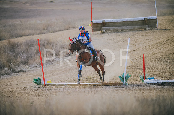 JJS_0989