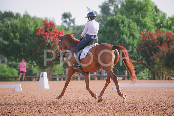 RWP_4294