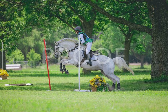 RWP_3366