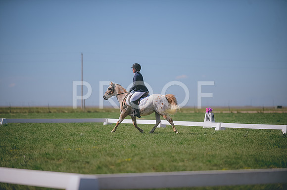 JJS_2598