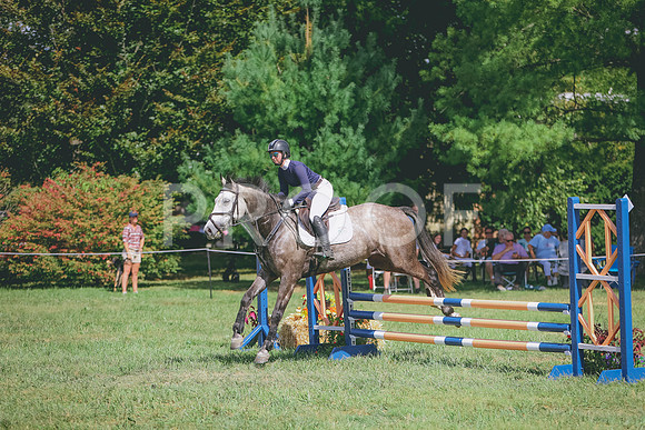 3T5A4436