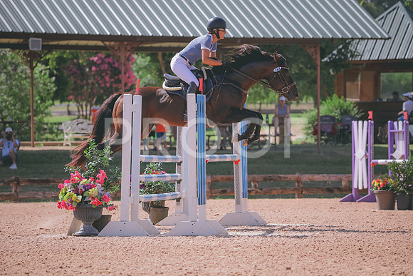 RWP_4977