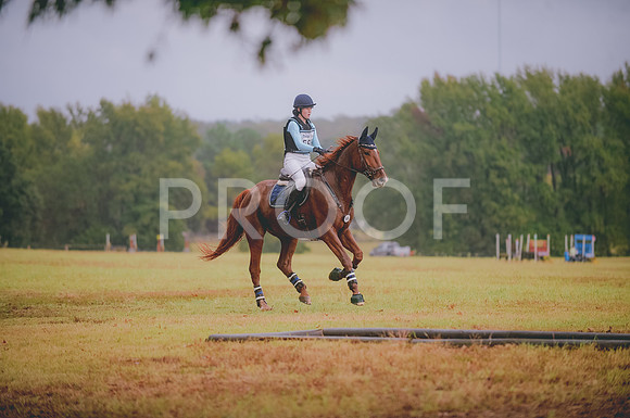 JJS_3718