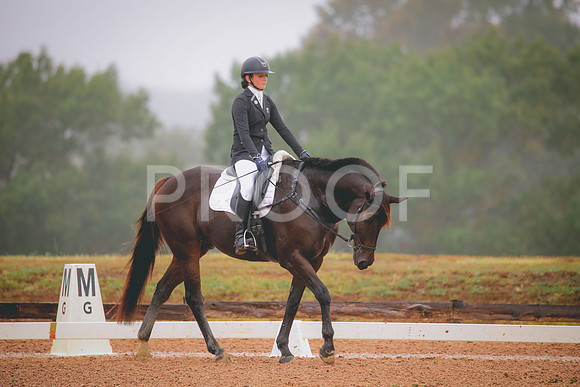 RWP_1177