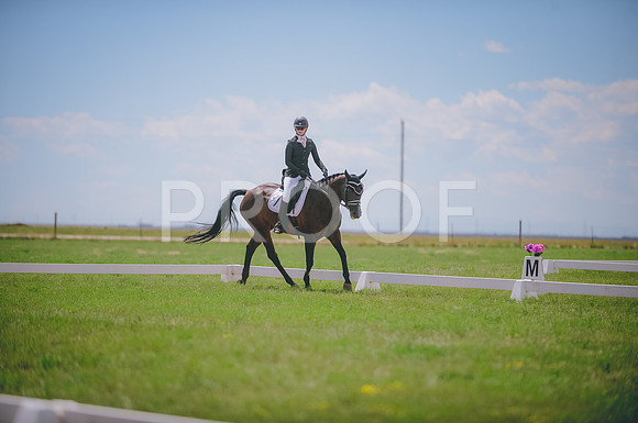 JJS_5919