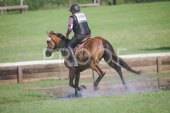 RWP_6338