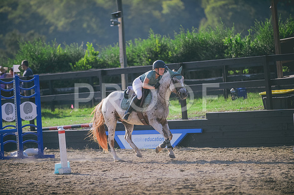 JJS_8202A