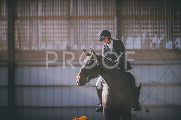 JJS_2914
