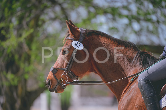 JJS_0707