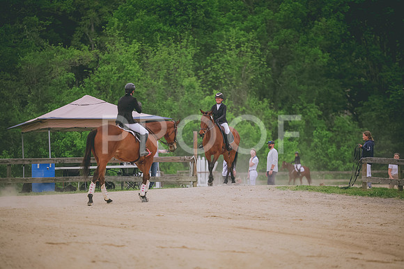 2E8A4133