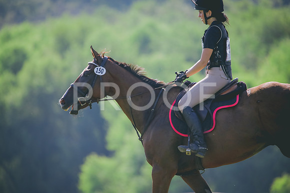 RWP_6271