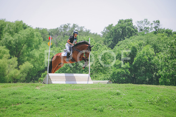 RWP_3950