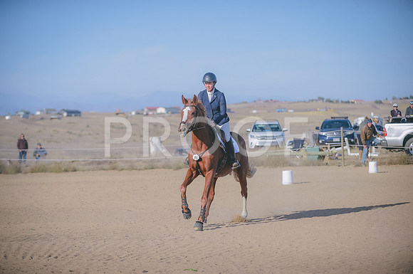 JJS_8368