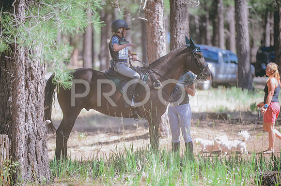 JJS_4118