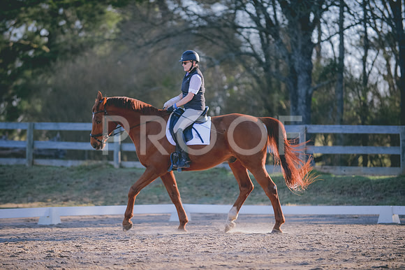 JJS_5906