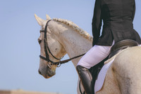 CLSL7409