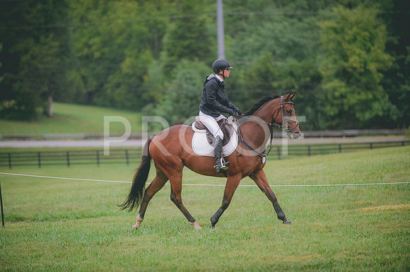 JJS_0493