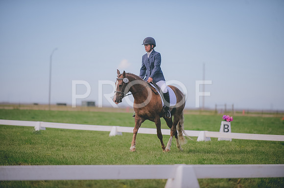JJS_1464