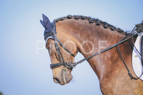 RWP_3694