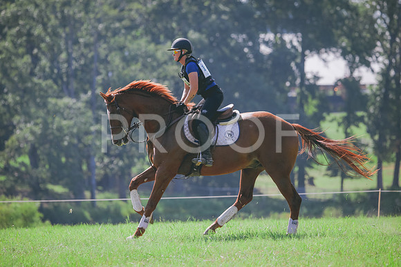 RWP_6478