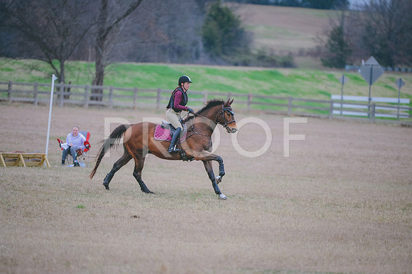 JJS_7946