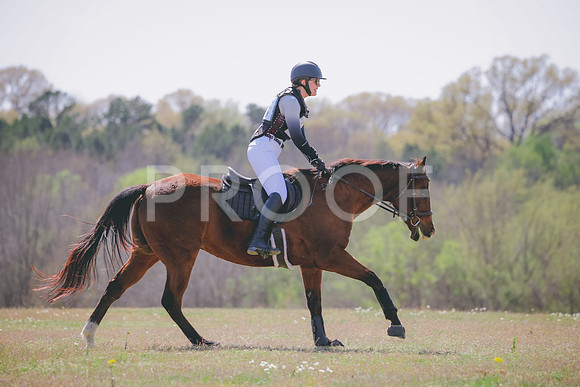 RWP_1312