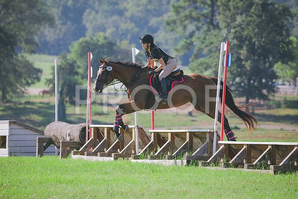 RWP_6268