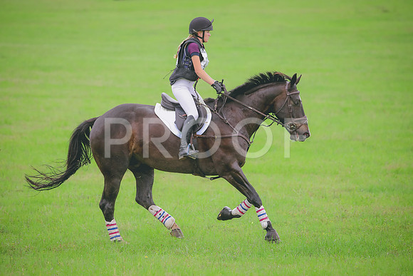 RWP_5624