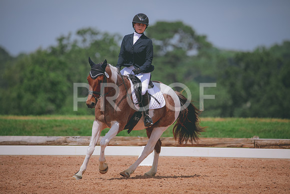 RWP_4386