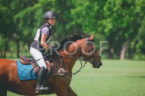 RWP_4478