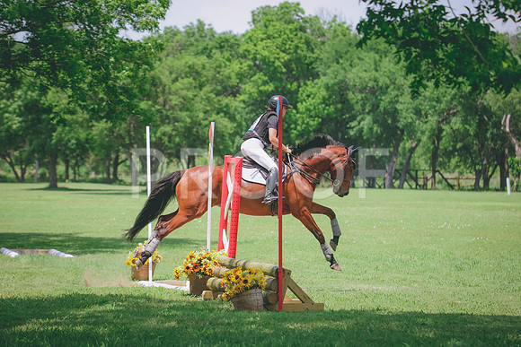 RWP_3965