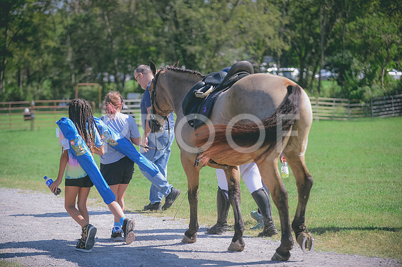 JJS_5118