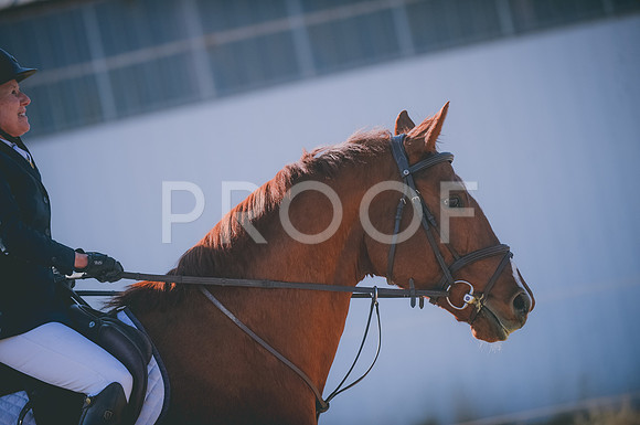 JJS_0041