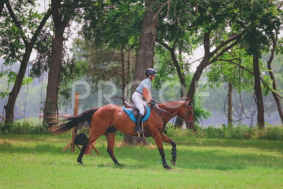 JC5_0530A