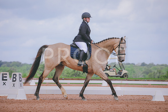 RWP_4463