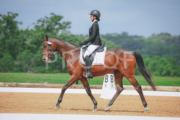 RWP_4329