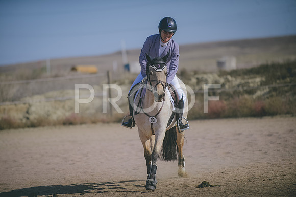JJS_3573