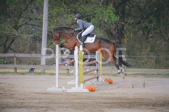 JJS_0347