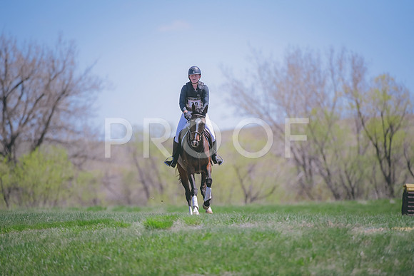 _DSC0537