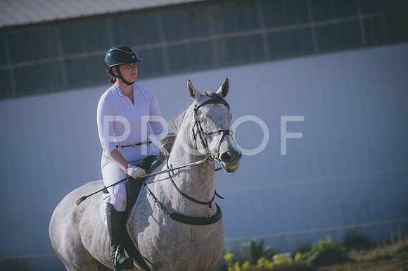 JJS_2606